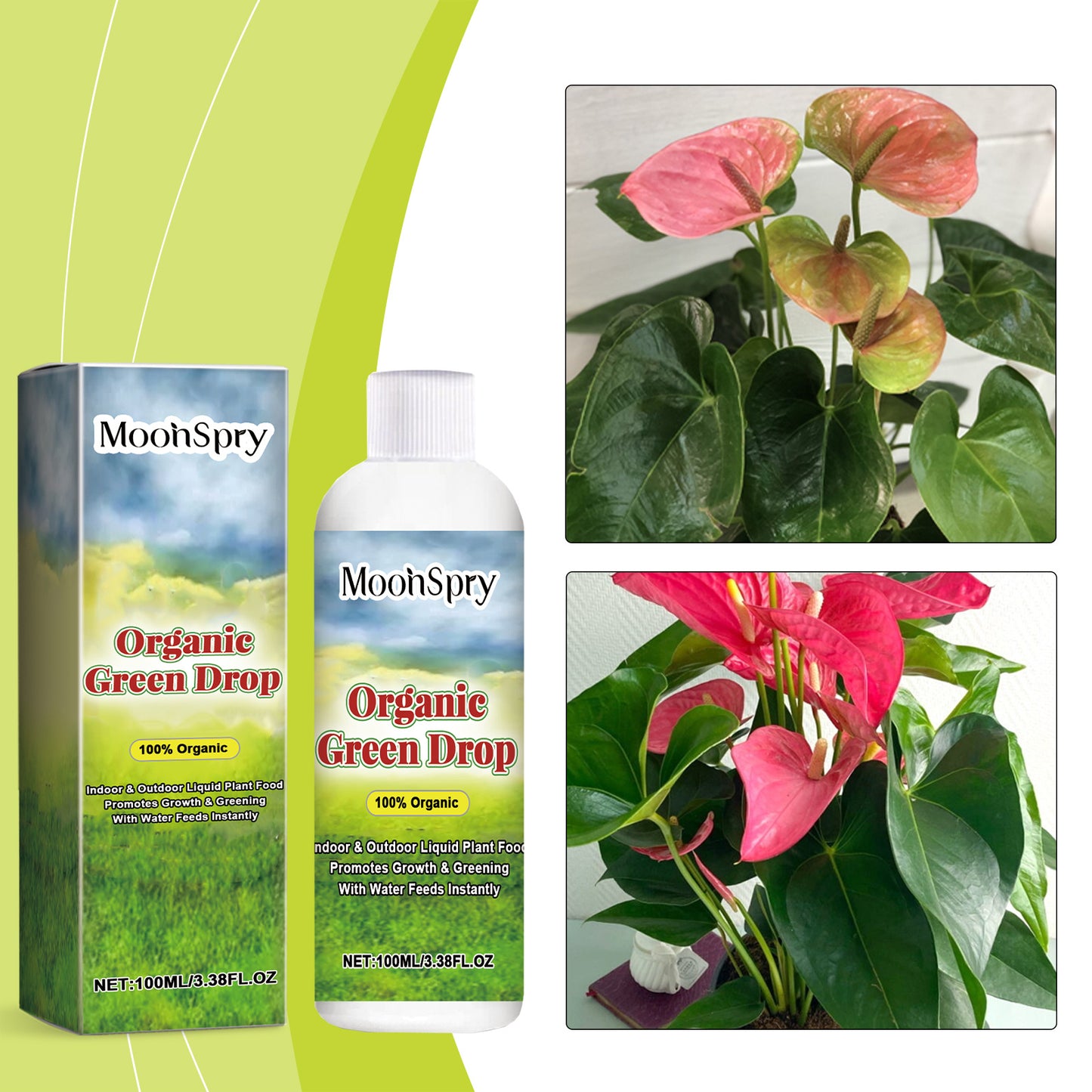 lawn flowers, leafy garden plants, flowering lawn seeds, ornamental garden mix