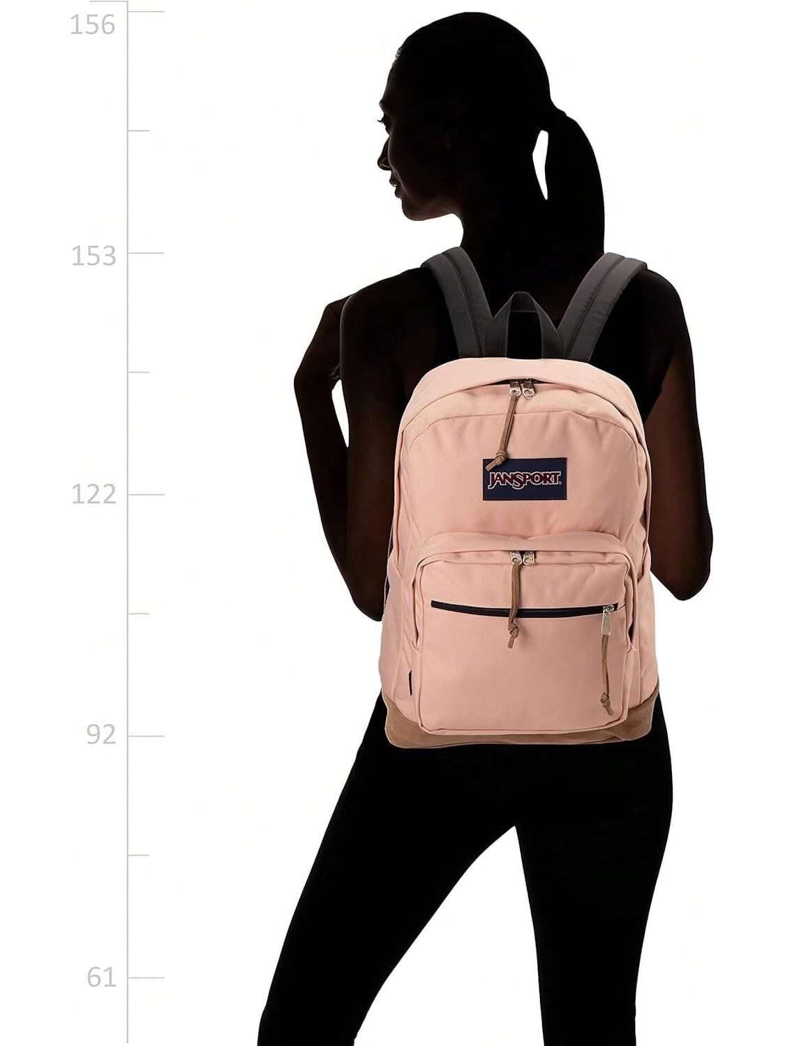 JanSport Right Pack Misty Rose