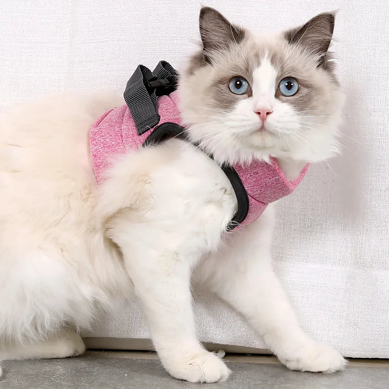 Adjustable Kitten Walking Harness