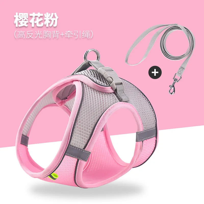 Noctilucent Pet Harness Leash Set