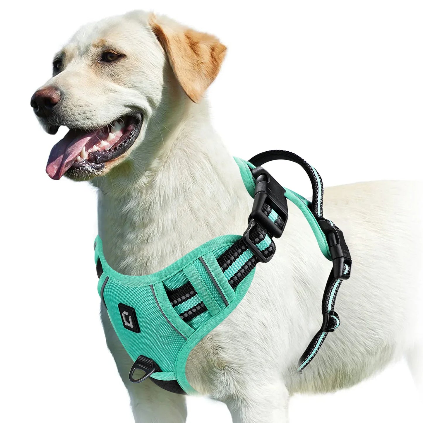 Soft No-Pull Dog Harness