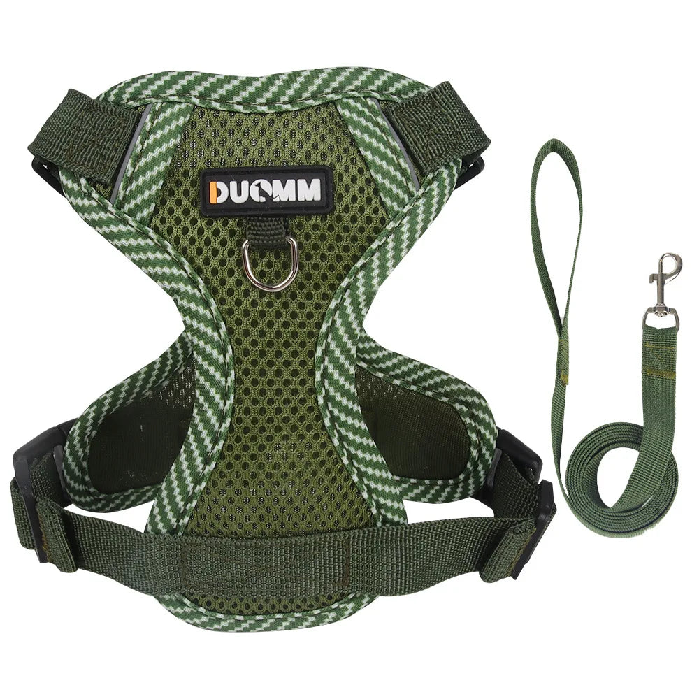 Reflective Mesh Cat Harness Set