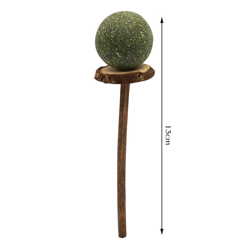 Toy Organic Apple Wood Chew