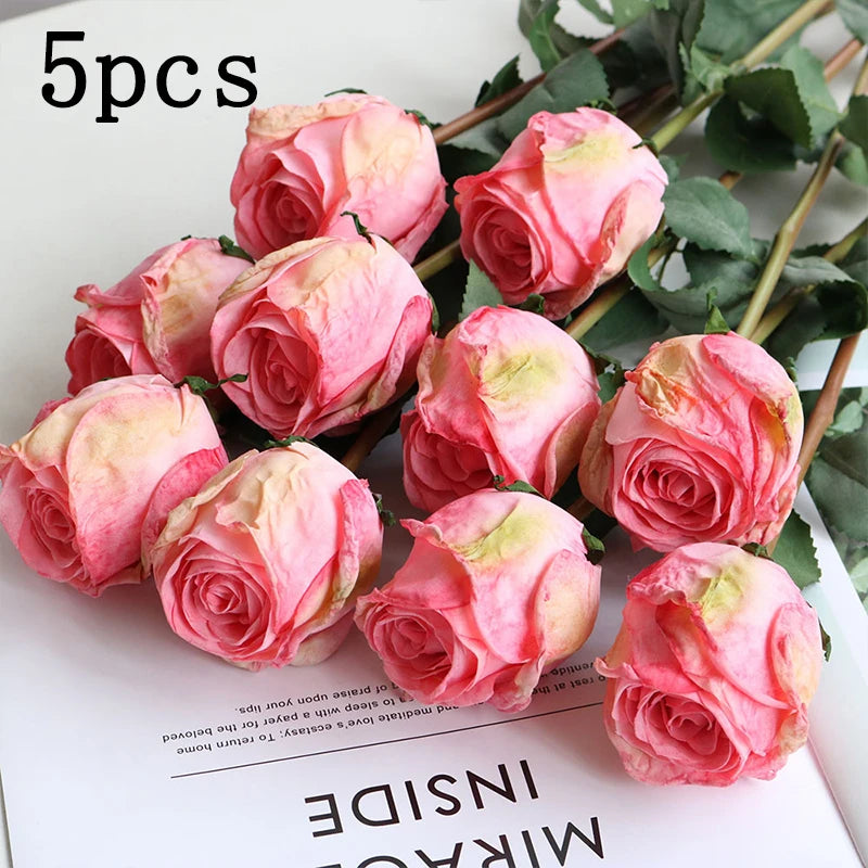 Burnt Edge Rose Buds