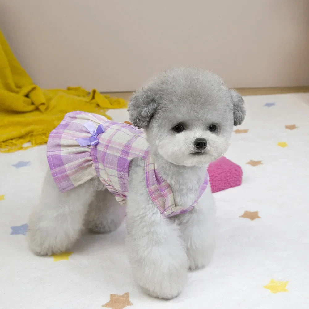 Summer Princess Dog Dress