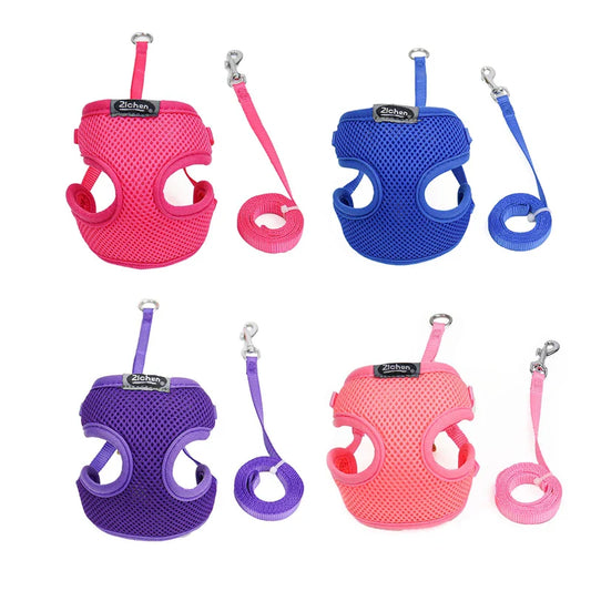 miss doggy Soft Mesh Dog Harness Set