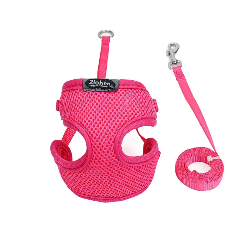 miss doggy Soft Mesh Dog Harness Set