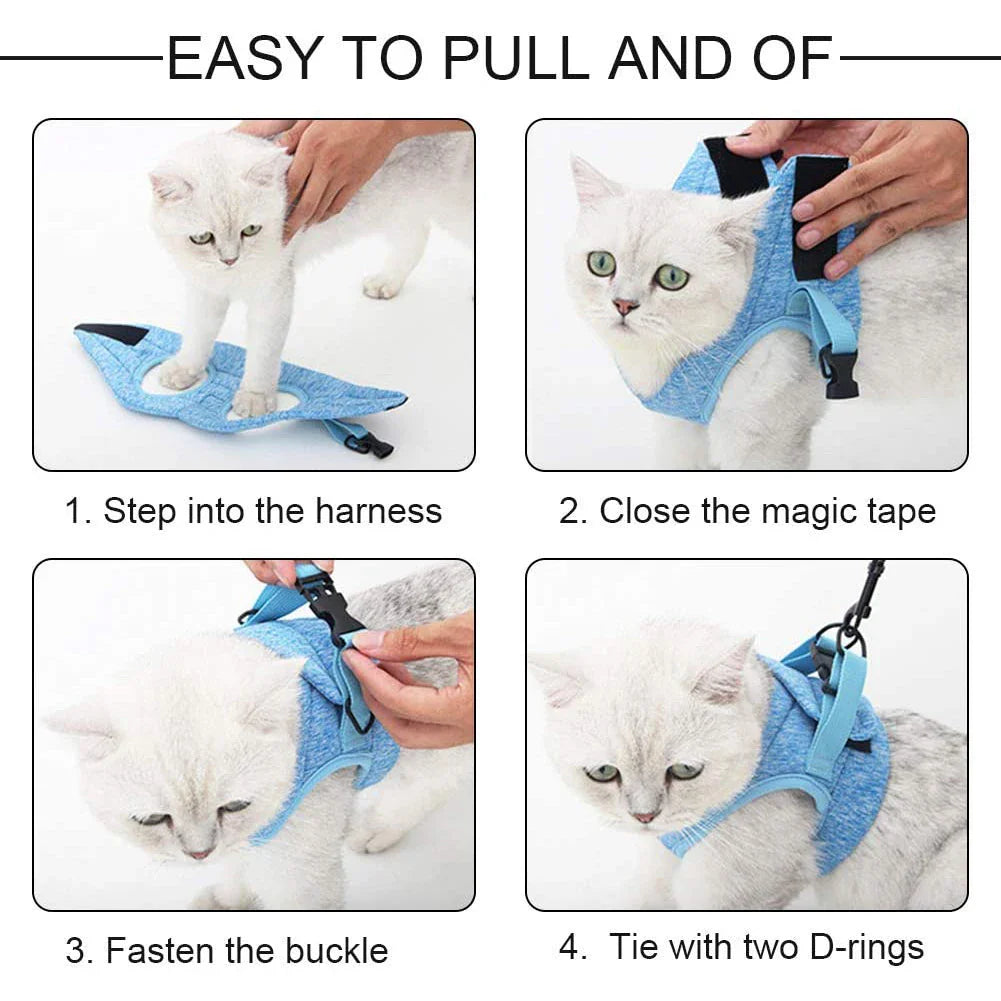 Adjustable Kitten Walking Harness