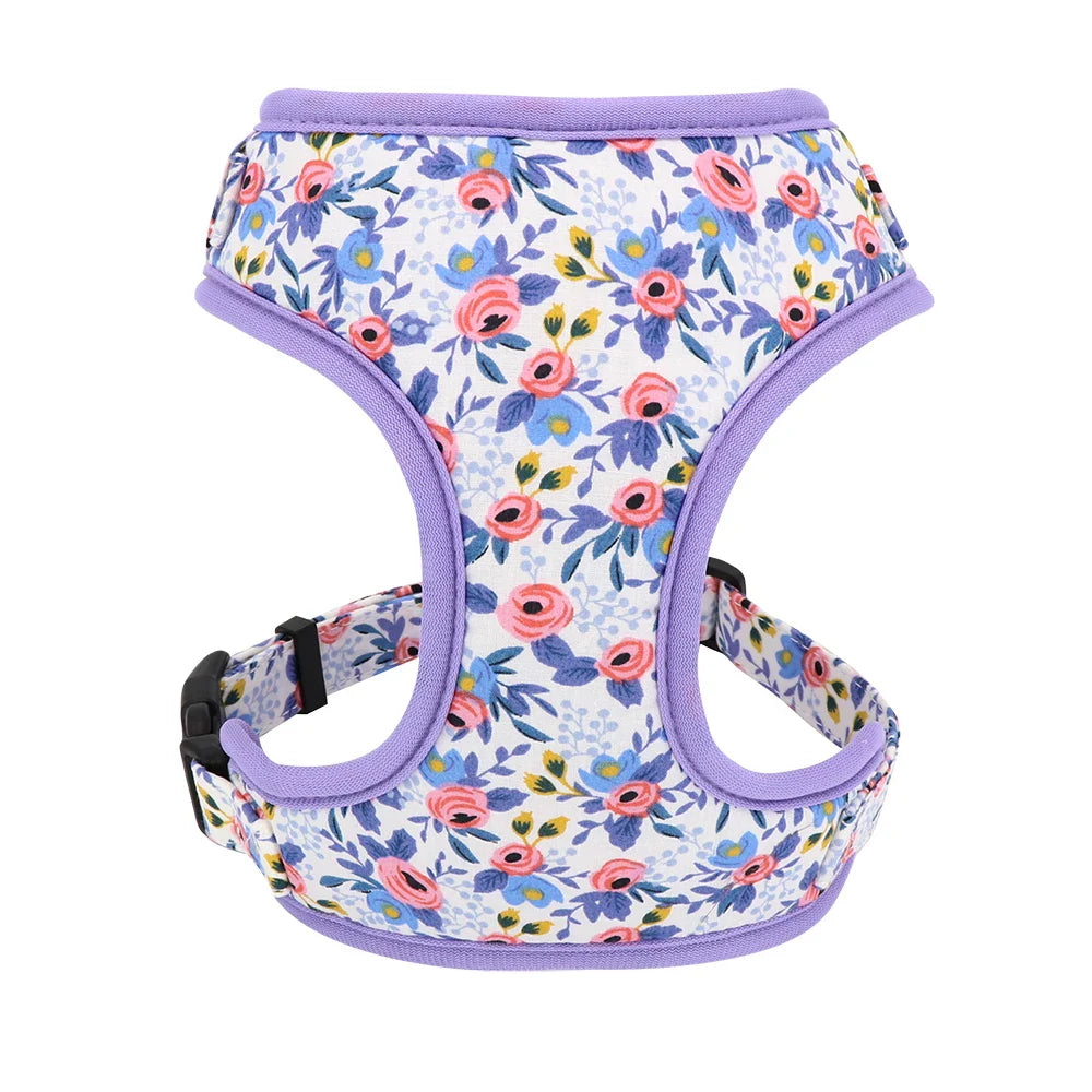 Cute Printed Dog Harness Set