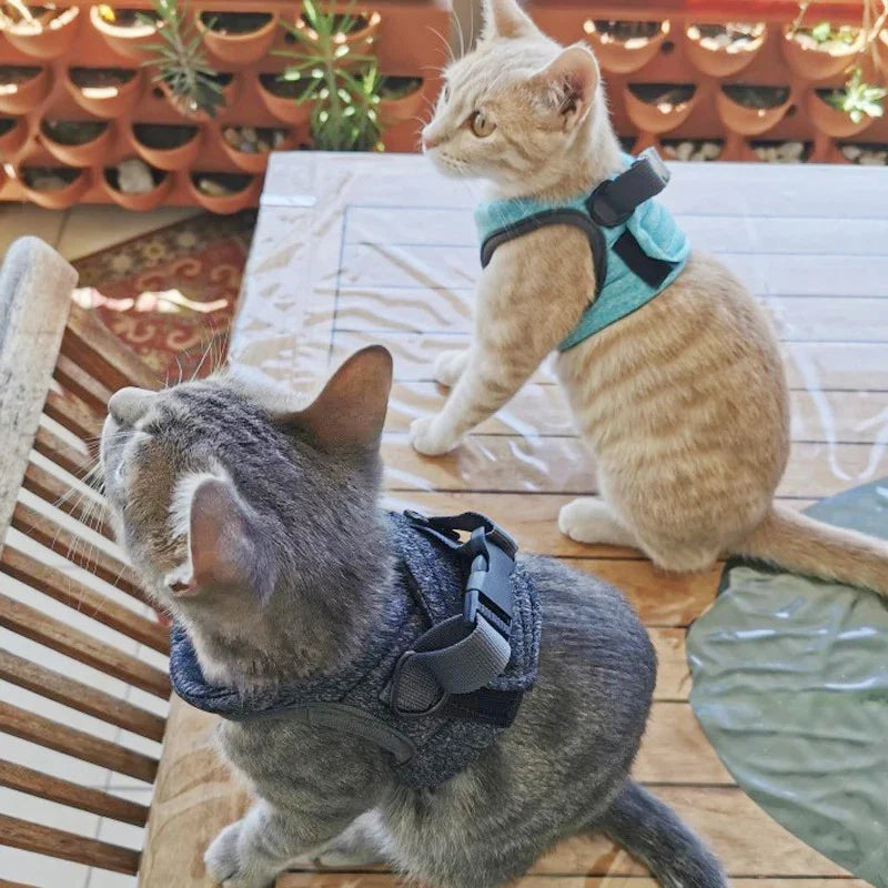 Adjustable Kitten Walking Harness