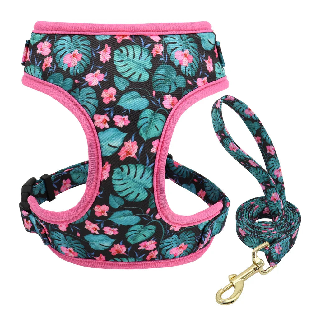Cute Printed Dog Harness Set