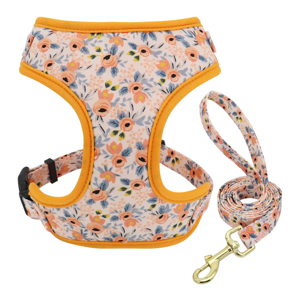 Cute Printed Dog Harness Set