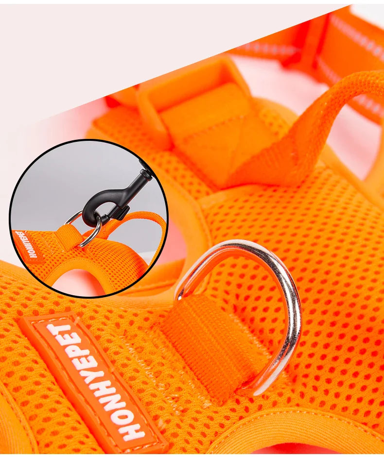 Truelove Reflective Outdoor Pet Harness
