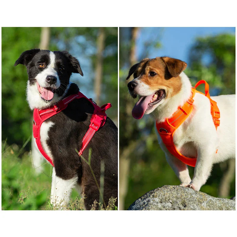 Truelove Reflective Outdoor Pet Harness