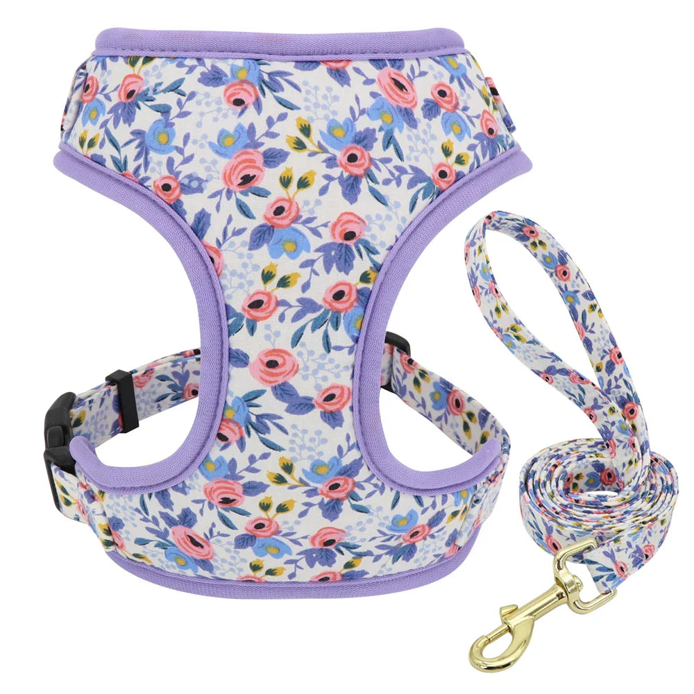 Cute Printed Dog Harness Set