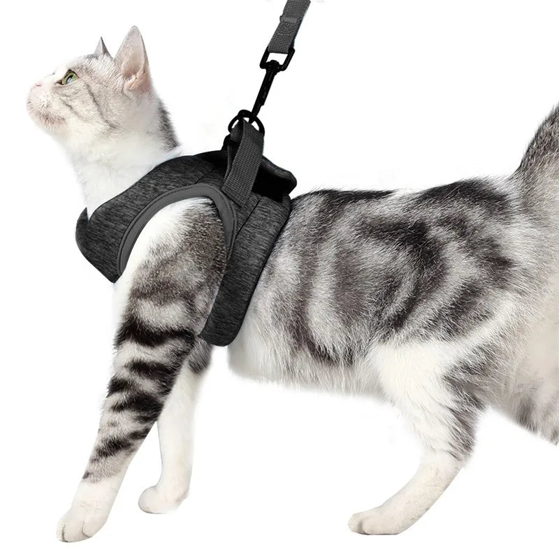 Adjustable Kitten Walking Harness