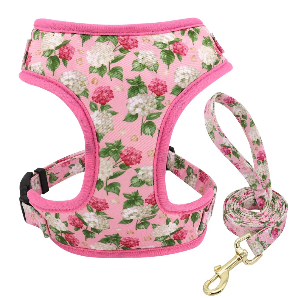 Cute Printed Dog Harness Set