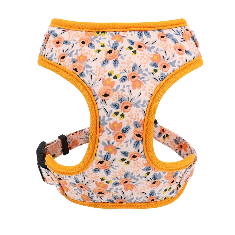 Cute Printed Dog Harness Set