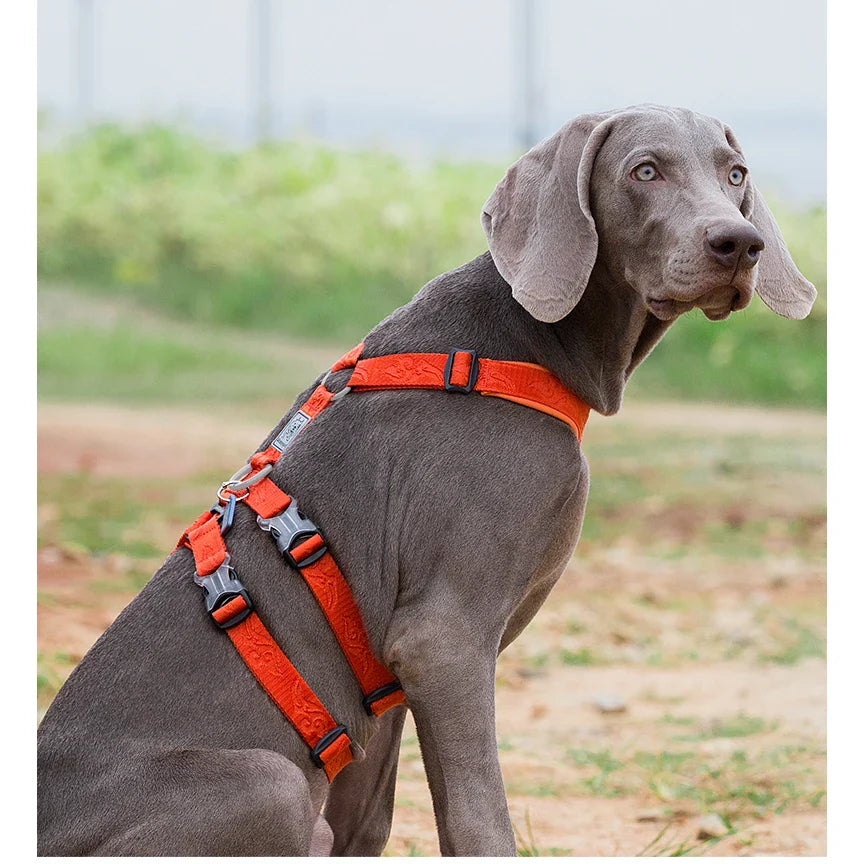 Truelove No Pull Dog Harness