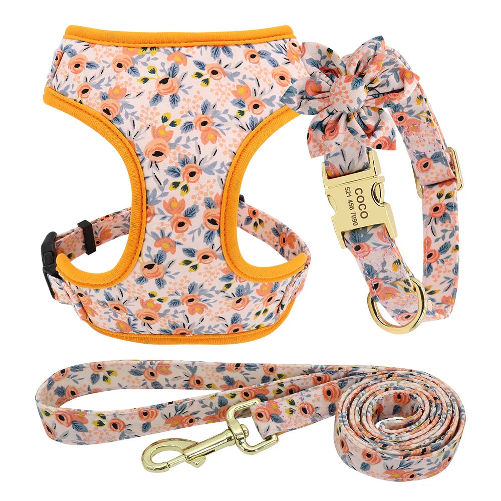 Cute Printed Dog Harness Set