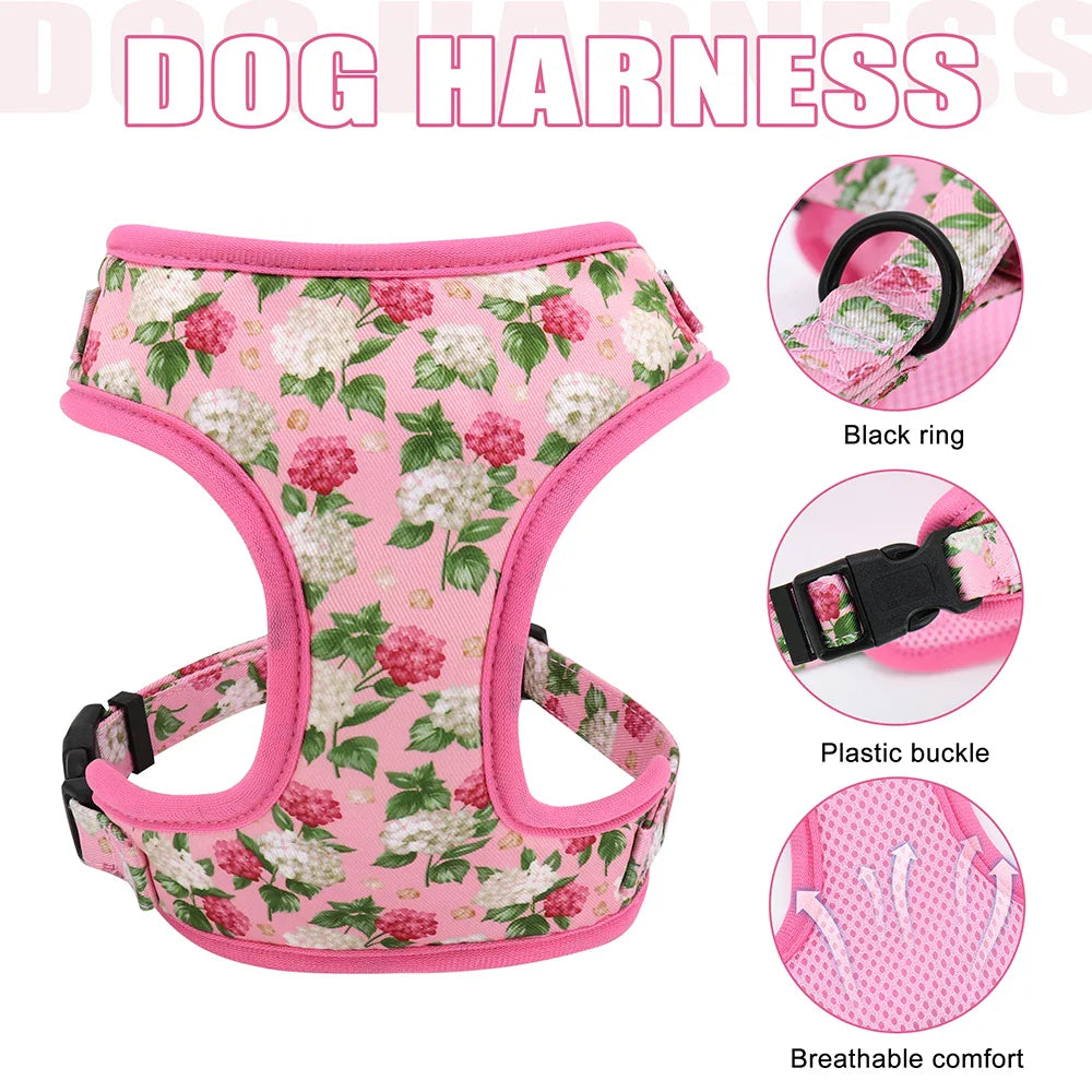 Cute Printed Dog Harness Set
