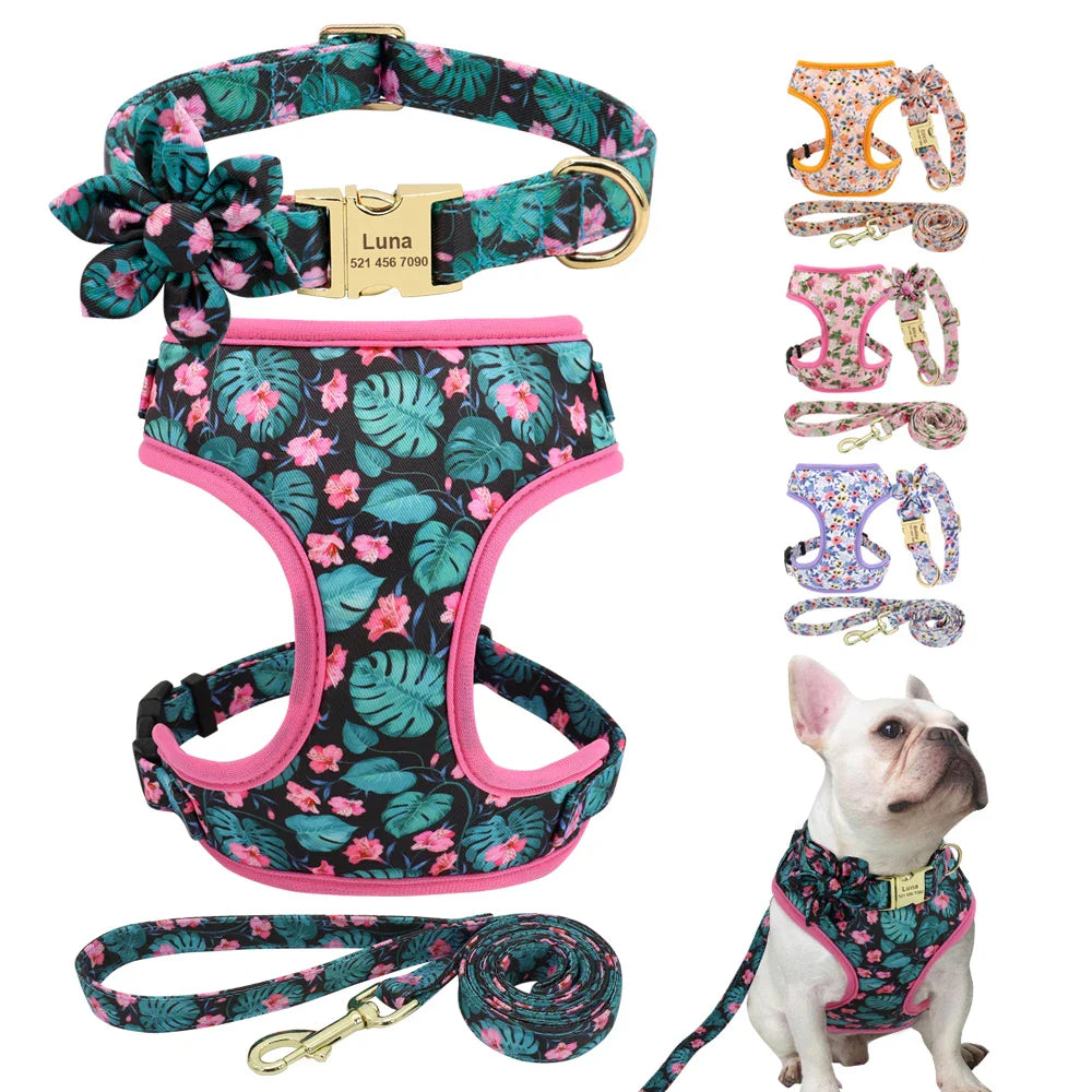 Cute Printed Dog Harness Set