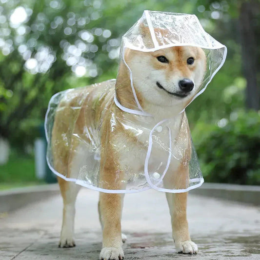 Transparent Waterproof Dog Raincoat