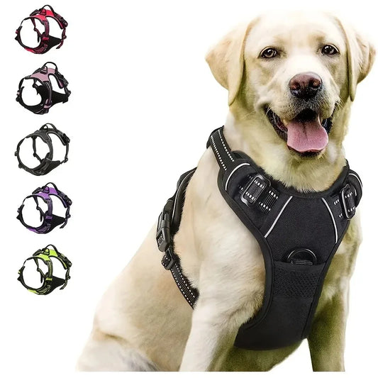 Leather Dog Harness Collar Set