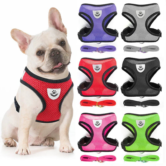Breathable Mesh Pet Harness Set