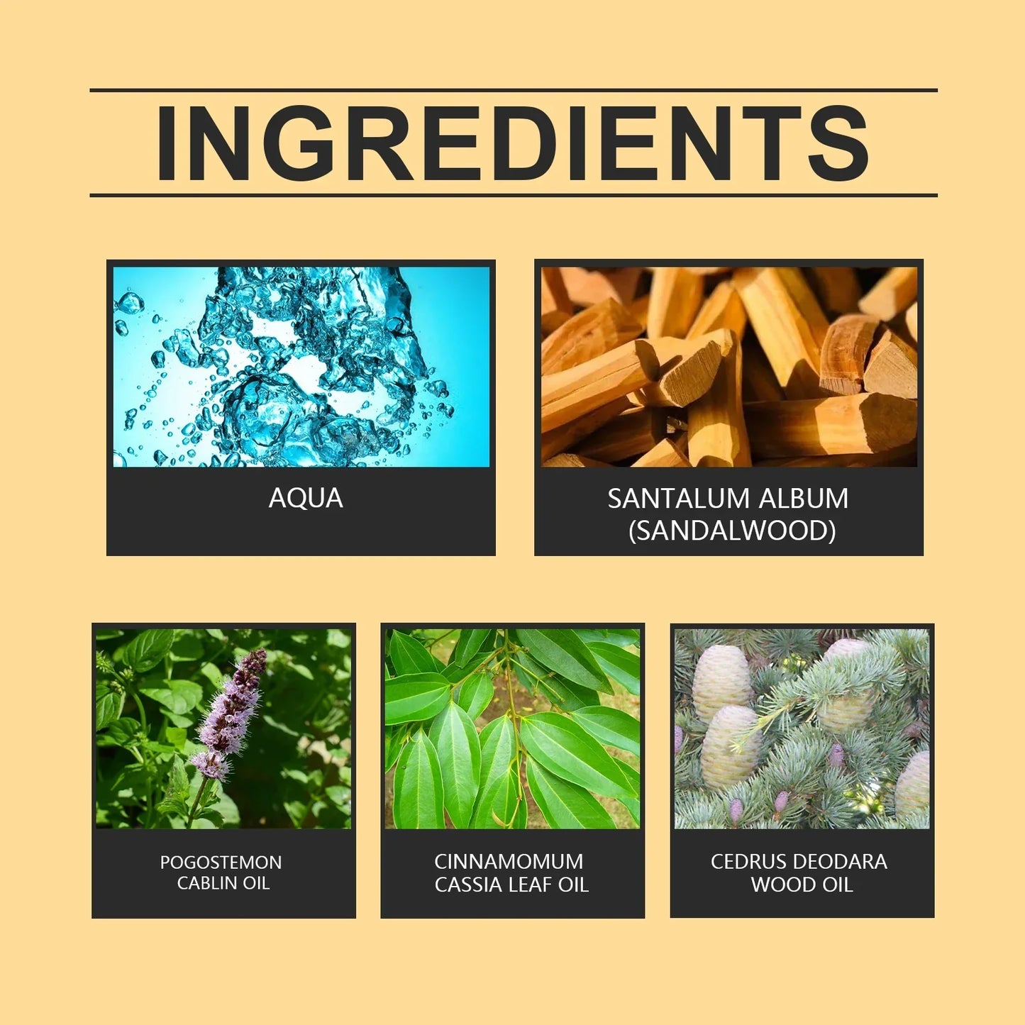 Men's Long-Lasting Woody Perfume