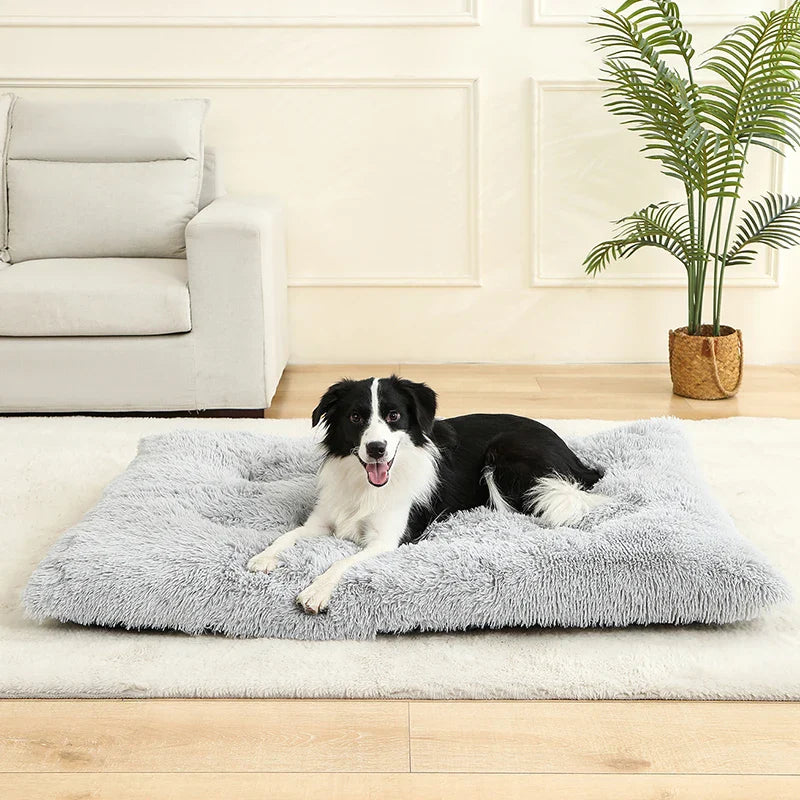 Soft Plush Dog Bed House