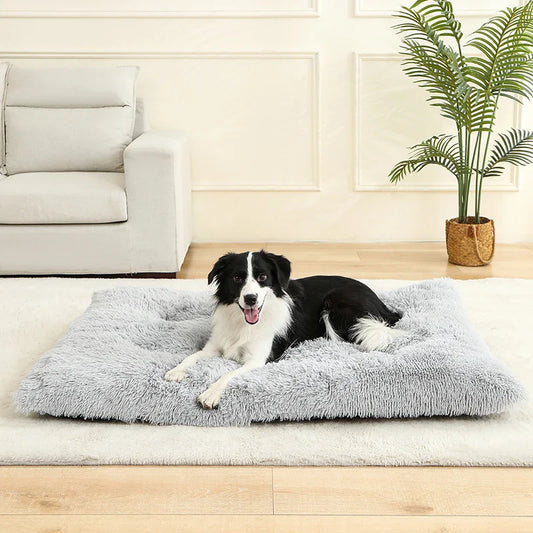 Soft Plush Dog Bed House