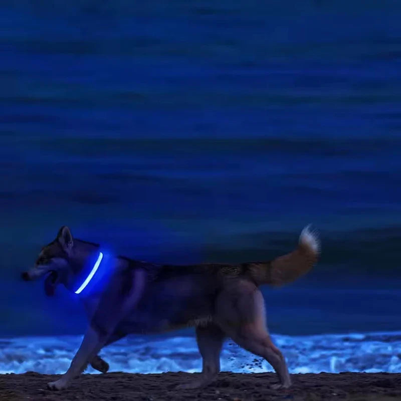 BOOTEELY LED Glow Dog Leash