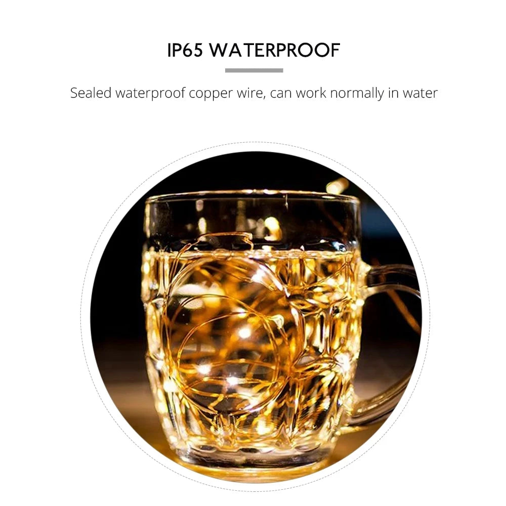 Copper Wire LED String Lights