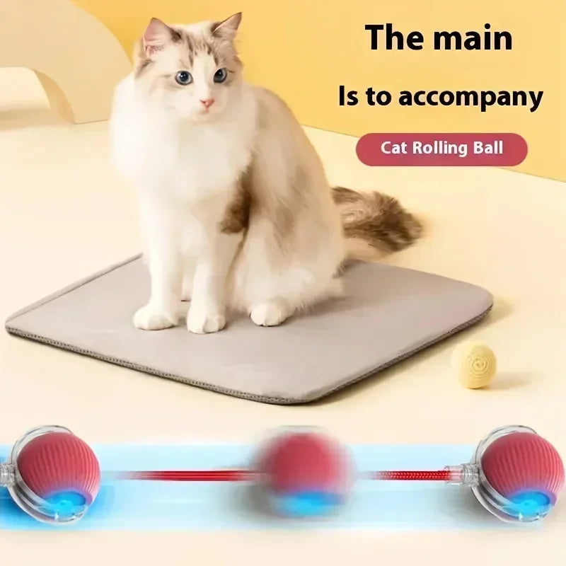 Rechargeable Interactive Cat Ball Toy