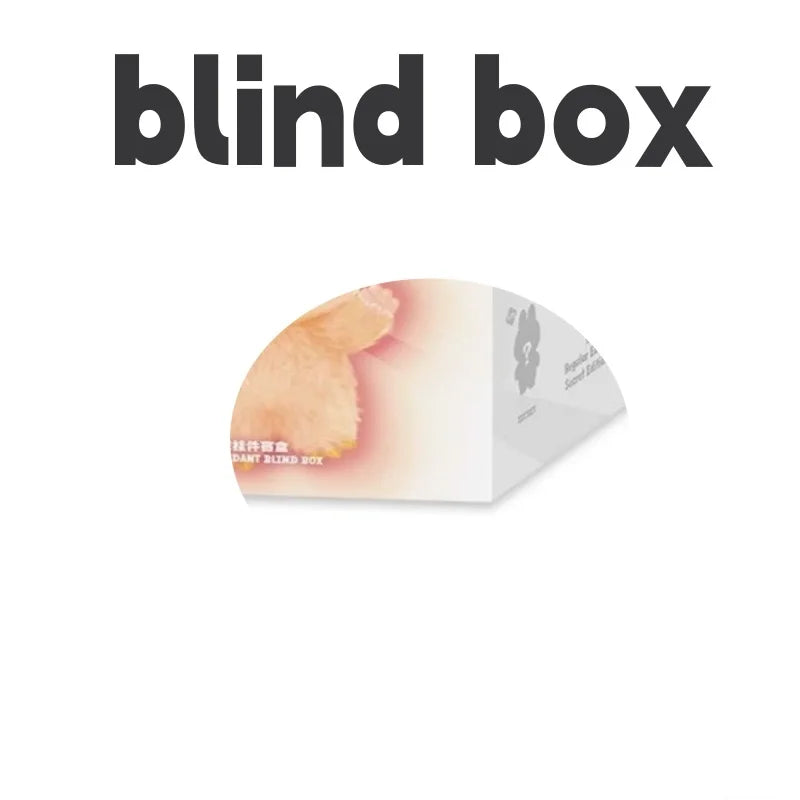 Labubu V3 Surprise Cartoon Box