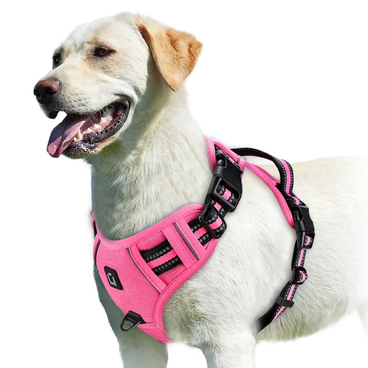 Soft No-Pull Dog Harness