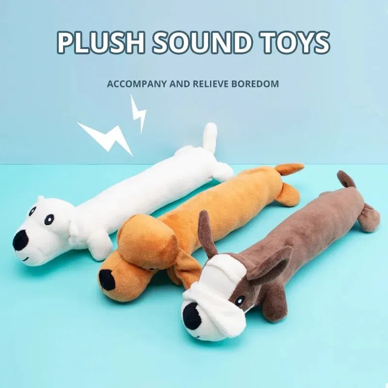 Interactive Squeaky Molar Dog Toy