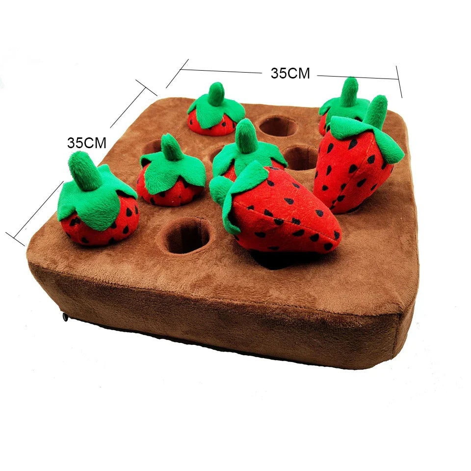 NONOR Carrot Puzzle Chew Toy