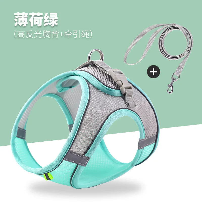 Noctilucent Pet Harness Leash Set