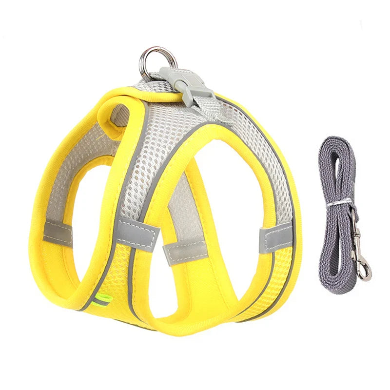 CDDMPET Adjustable Dog Harness Leash Set
