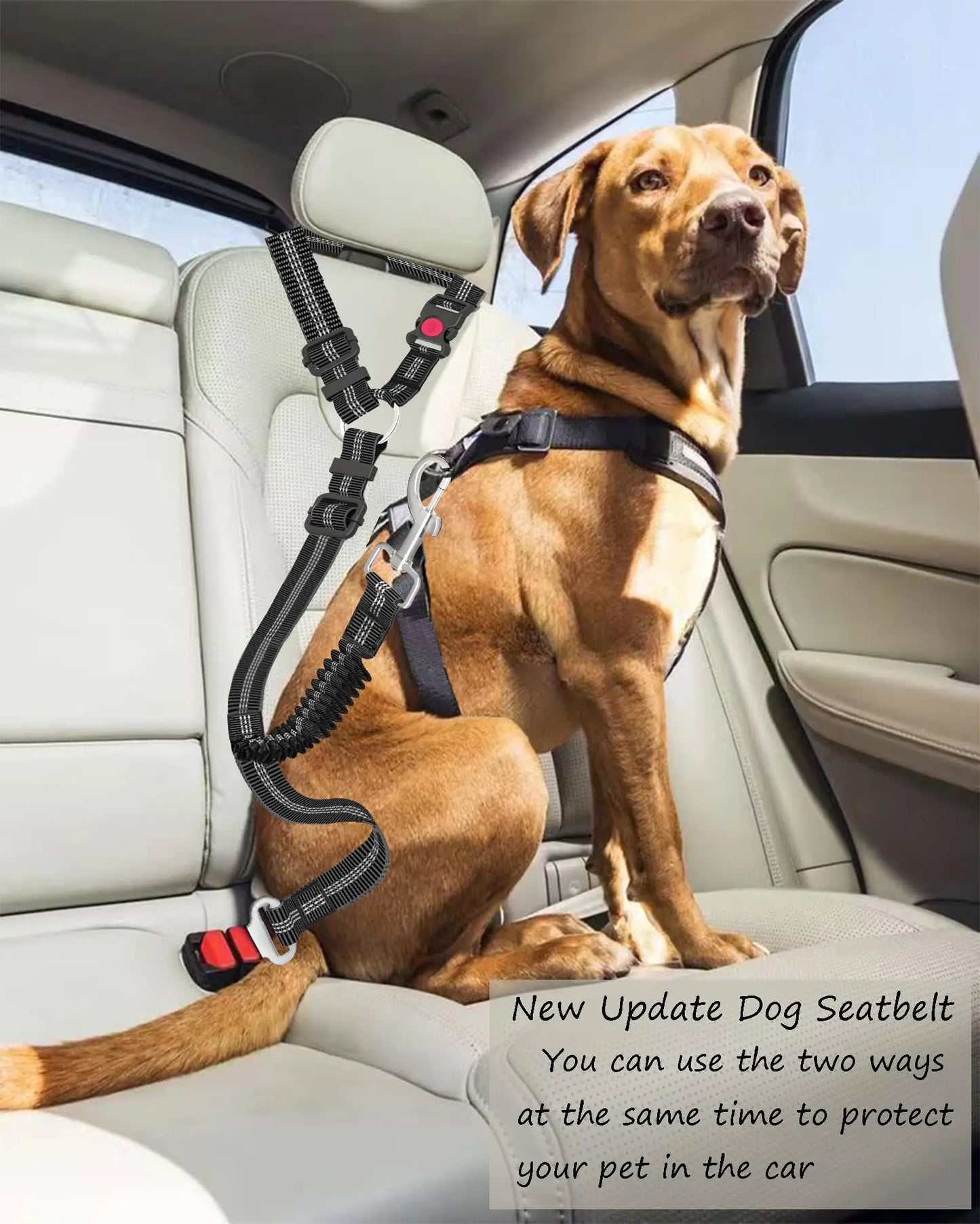 GOYN Heavy Duty Striped Dog Seatbelt