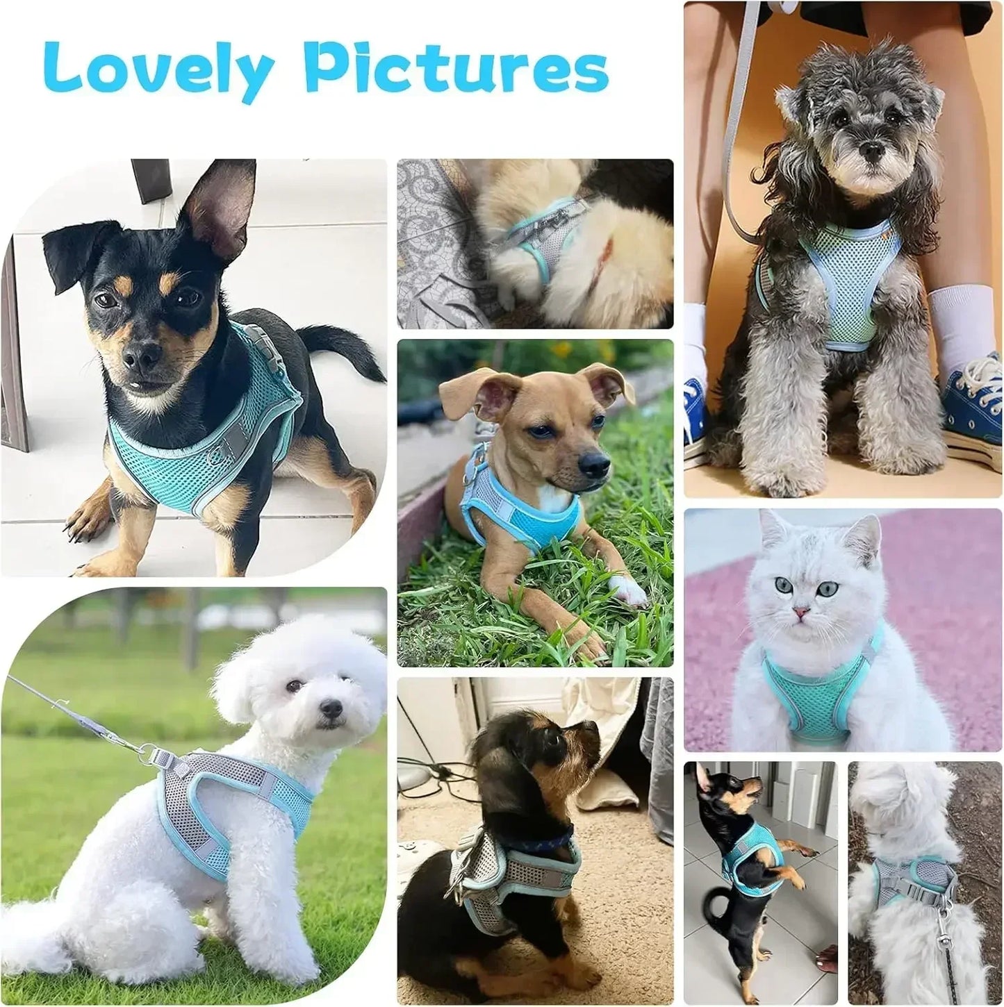 Adjustable Pet Harness Leash Set