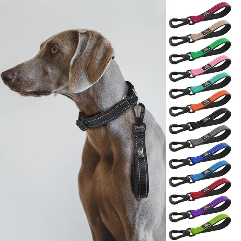 Reflective Nylon Dog Training Leash