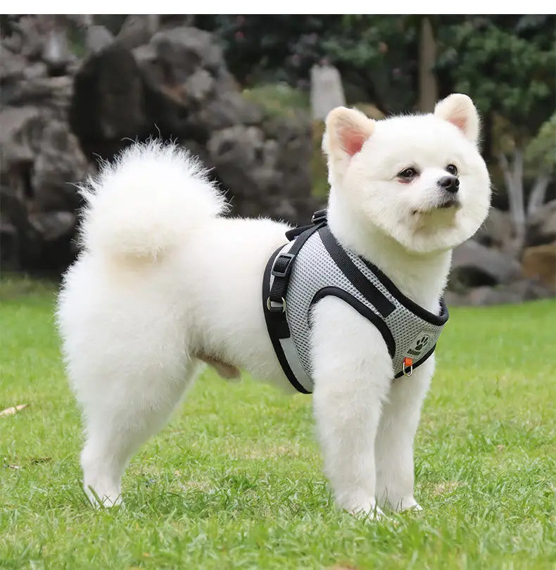 No-Pull Soft Dog Harness Set
