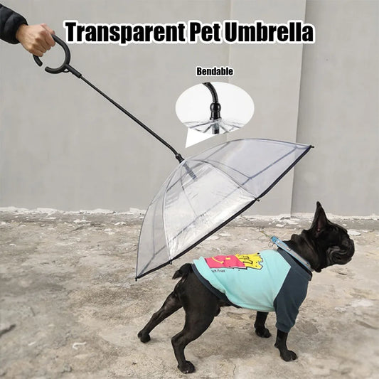 Transparent Dog Umbrella Leash