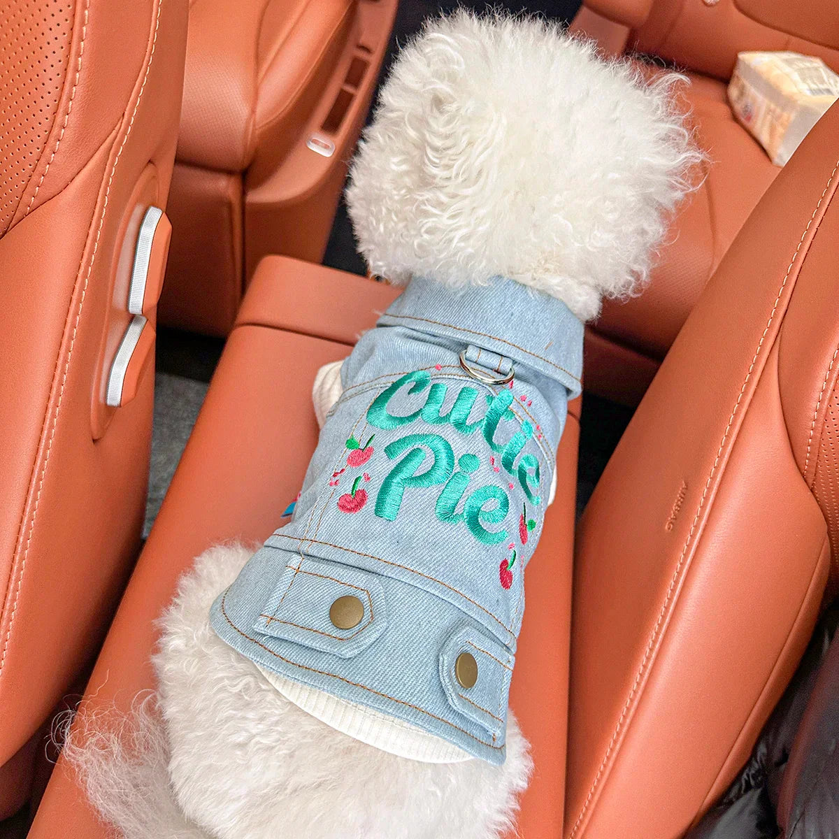 Sweetheart Blue Pet Vest Jacket