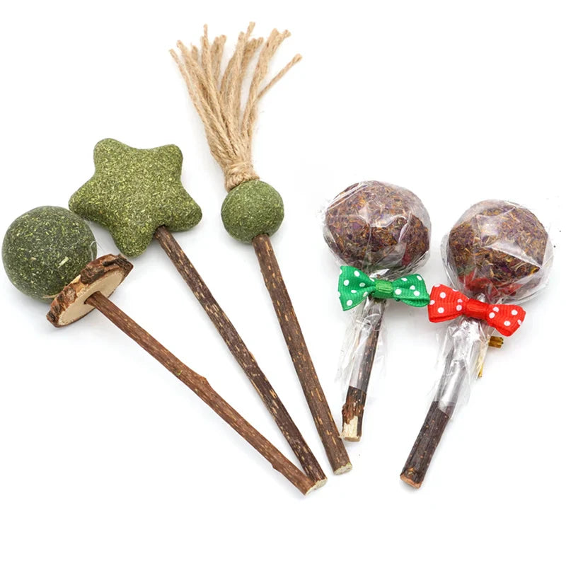 Toy Organic Apple Wood Chew