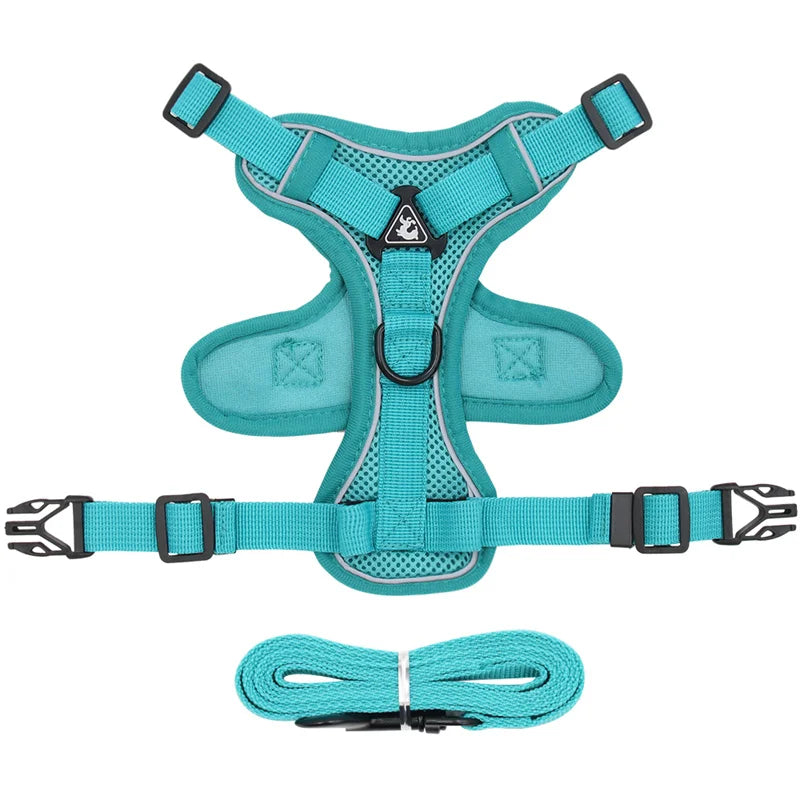 Reflective Mesh Cat Harness Set