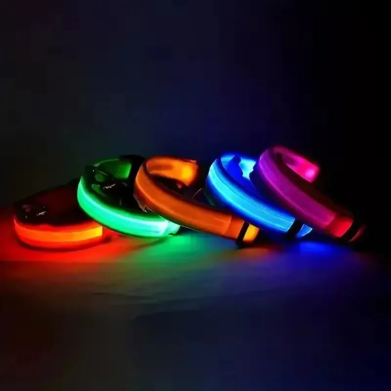 BOOTEELY LED Glow Dog Leash
